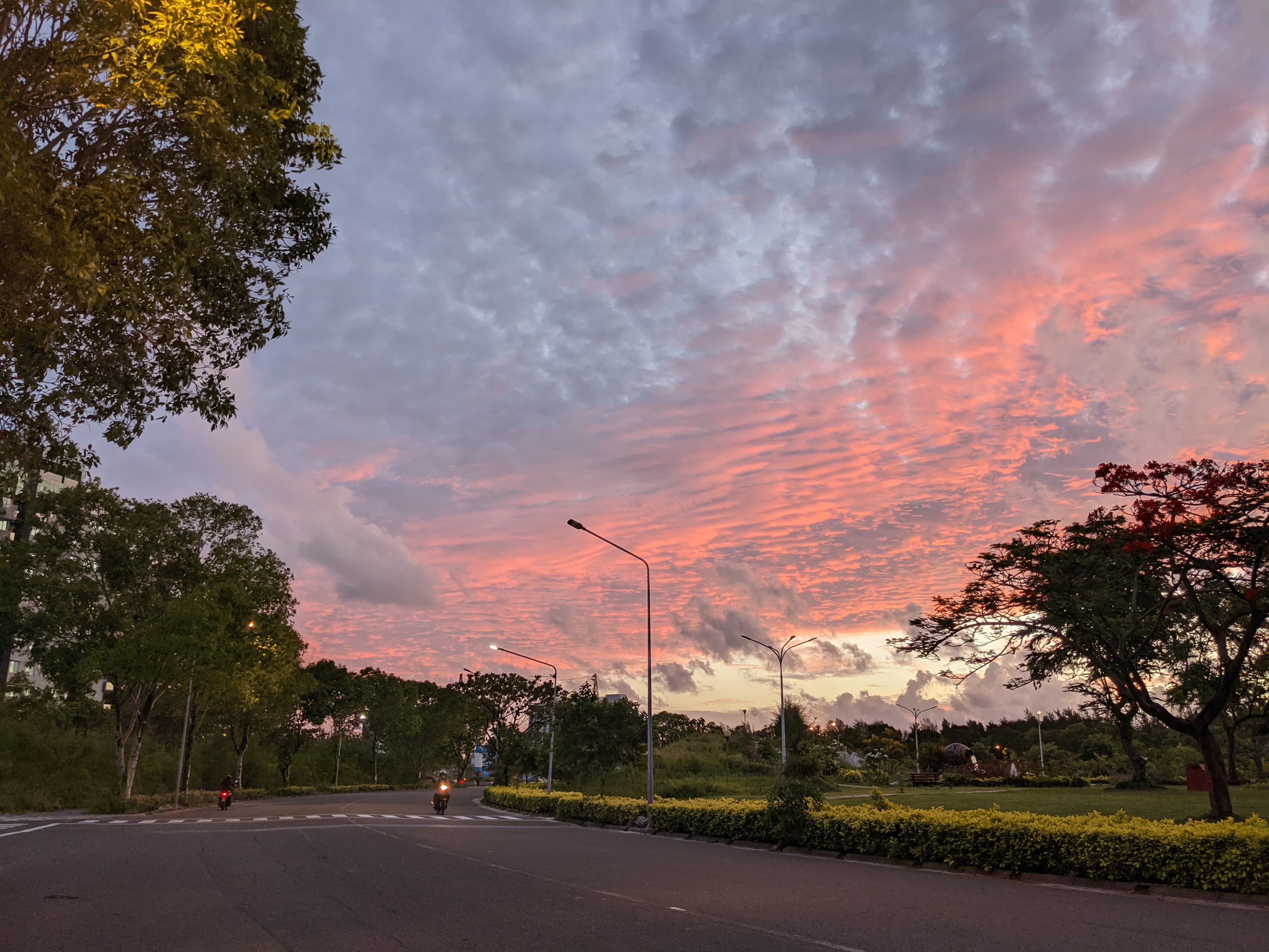 Legal professionals reviewing documents at sunset